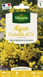 Alysse Corbeille d'Or